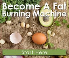 fat burning cookbook